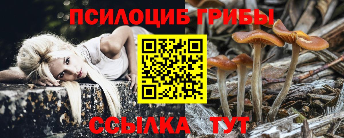 Псилоцибиновые грибы Psilocybine cubensis  Вход с VPN  Псилоцибиновые грибы Magic Shrooms  Сафоново 